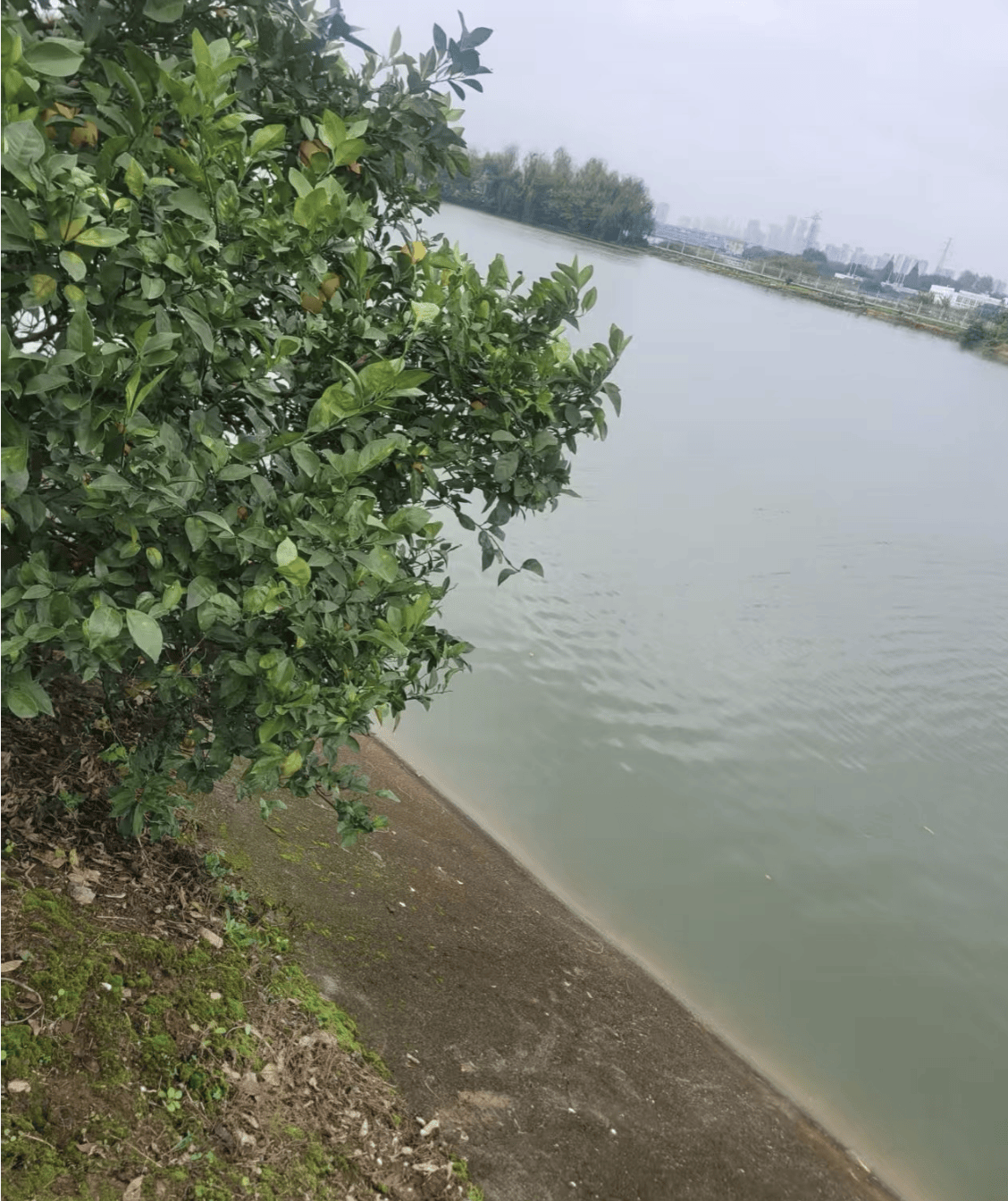 皇冠信用网去哪里弄
_华中农业大学一博士生溺水身亡皇冠信用网去哪里弄
,武汉警方通报:为溺亡,排除案件,相关工作正在开展