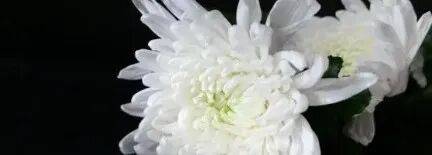 韦斯特罗斯vs赫尔辛堡_乌军士兵乔装成俄军韦斯特罗斯vs赫尔辛堡,与俄士兵寒暄,随后趁其不备将两名俄军枪杀,无人机拍下全过程