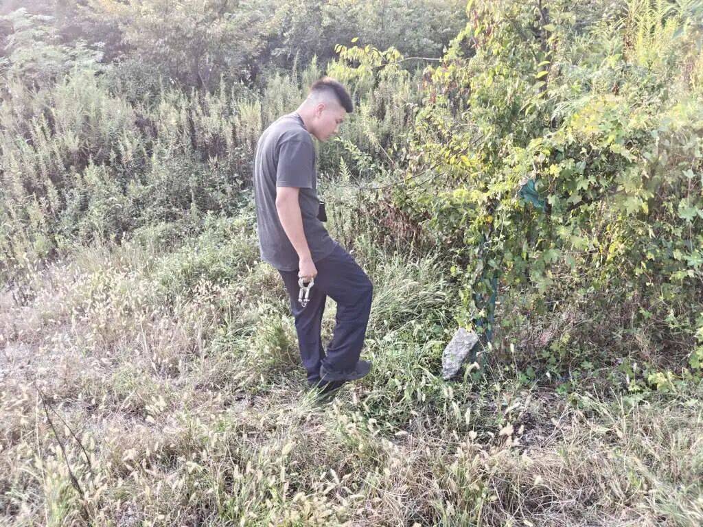 正网皇冠信用网_浙江一姑娘以奶茶为记号正网皇冠信用网，竟然在草丛里藏了11万现金！